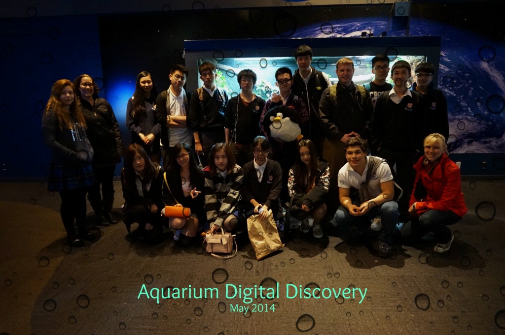 Aquarium Digital Discovery
